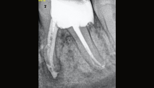 Dr. Abhrajithan-08