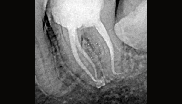 Dr. Abhrajithan-10